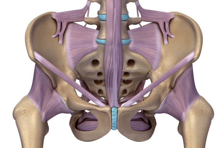 Więzadła miednicy jako częsta przyczyna dolegliwości bólowych
